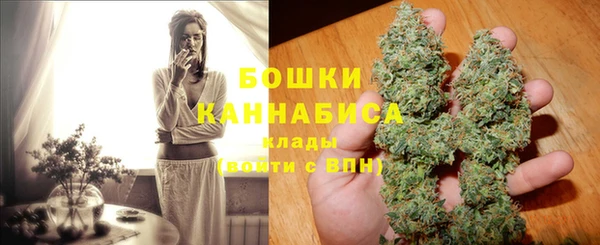 твердый Арсеньев