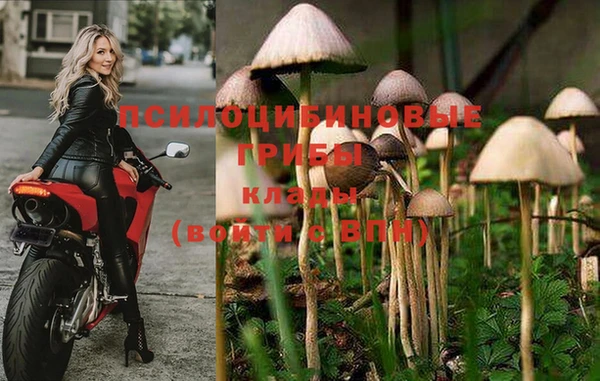 а пвп мука Армянск