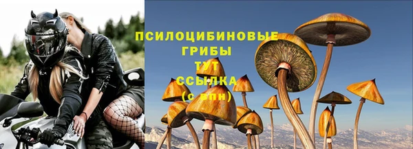 а пвп мука Армянск