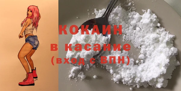 твердый Арсеньев
